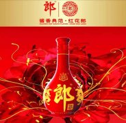 广东今视传媒集团案例